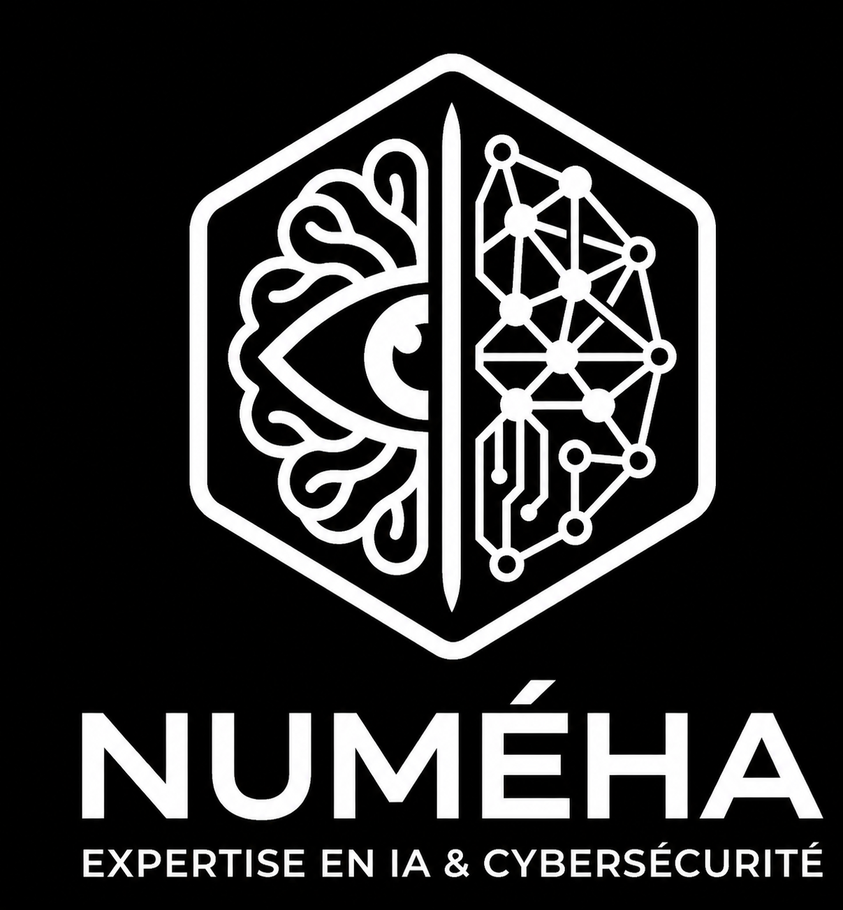 NUMÉHA - Expertise en IA et cybersécurité